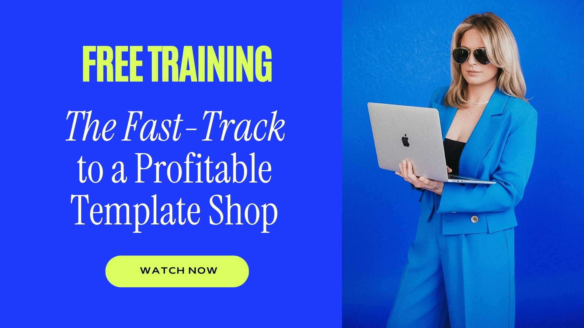Free training for building a profitable website template shop